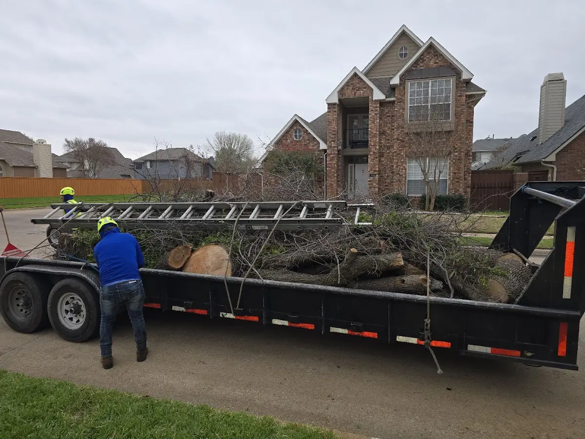 Expert Tree Pest Control with proper safety equipment in New Deal